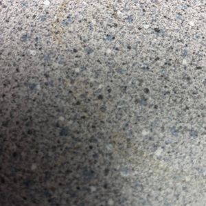 Meet your Posher, Georgia